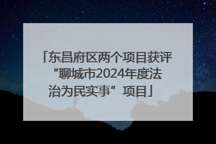 东昌府区两个项目获评“聊城市2024年度法治为民实事”项目