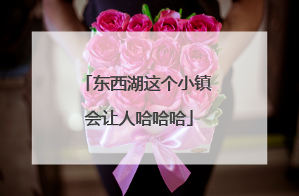 东西湖这个小镇会让人哈哈哈