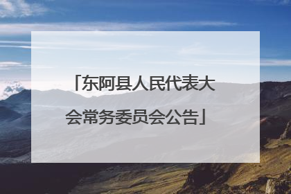 东阿县人民代表大会常务委员会公告