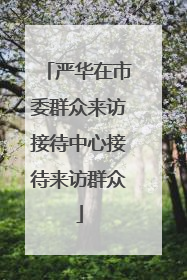 严华在市委群众来访接待中心接待来访群众