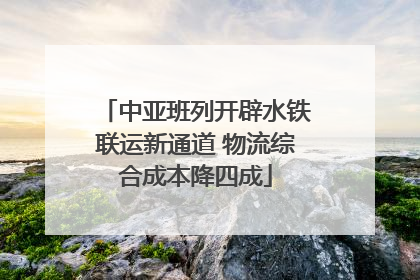 中亚班列开辟水铁联运新通道 物流综合成本降四成