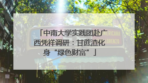 中南大学实践团赴广西凭祥调研：甘蔗渣化身“绿色财富”
