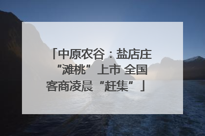 中原农谷：盐店庄“滩桃”上市 全国客商凌晨“赶集”