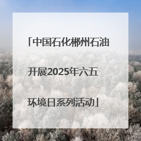 中国石化郴州石油开展2025年六五环境日系列活动