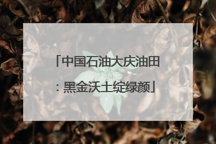 中国石油大庆油田：黑金沃土绽绿颜