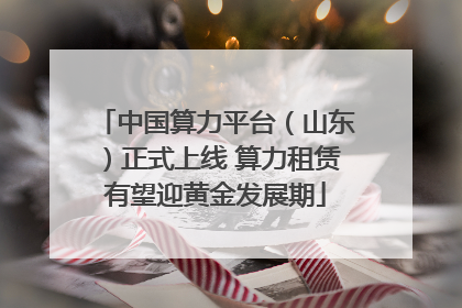 中国算力平台（山东）正式上线 算力租赁有望迎黄金发展期