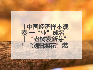 中国经济样本观察·一“业”成名丨“老树发新芽”！“浏阳烟花”燃亮世界