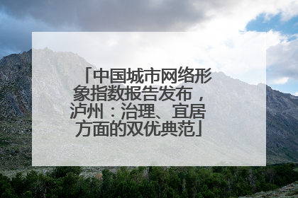 中国城市网络形象指数报告发布，泸州：治理、宜居方面的双优典范