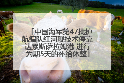 中国海军第47批护航编队红河舰技术停靠达累斯萨拉姆港 进行为期5天的补给休整