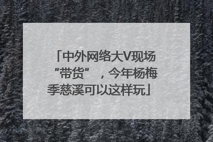 中外网络大V现场“带货”，今年杨梅季慈溪可以这样玩