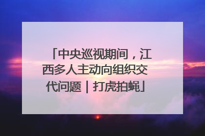 中央巡视期间，江西多人主动向组织交代问题｜打虎拍蝇