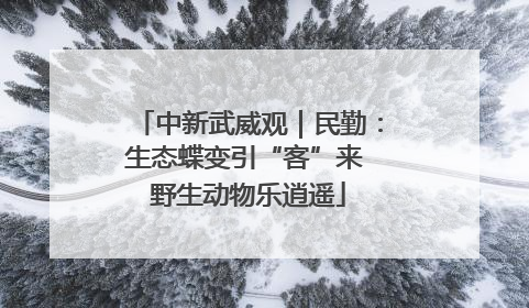 中新武威观｜民勤：生态蝶变引“客”来 野生动物乐逍遥