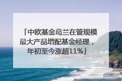 中欧基金葛兰在管规模最大产品增配基金经理，年初至今涨超11%