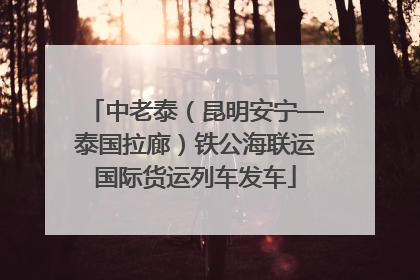中老泰（昆明安宁—泰国拉廊）铁公海联运国际货运列车发车