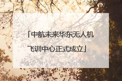 中航未来华东无人机飞训中心正式成立
