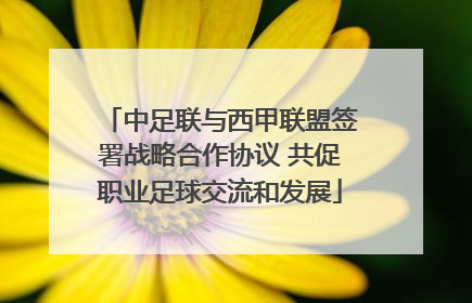 中足联与西甲联盟签署战略合作协议 共促职业足球交流和发展