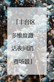丰台区多维度激活夜间消费场景