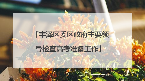 丰泽区委区政府主要领导检查高考准备工作