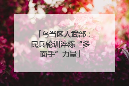 乌当区人武部：民兵轮训淬炼“多面手”力量