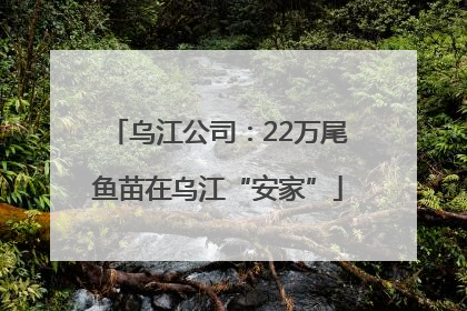 乌江公司：22万尾鱼苗在乌江“安家”