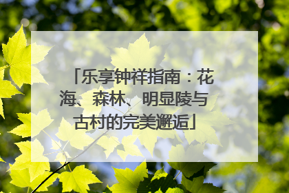 乐享钟祥指南：花海、森林、明显陵与古村的完美邂逅
