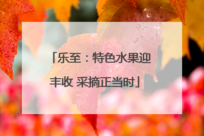 乐至：特色水果迎丰收 采摘正当时