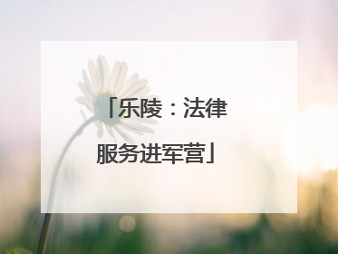 乐陵：法律服务进军营