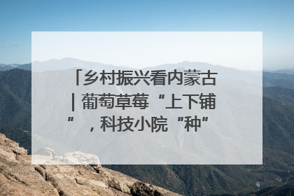 乡村振兴看内蒙古｜葡萄草莓“上下铺”，科技小院“种”出三倍效益