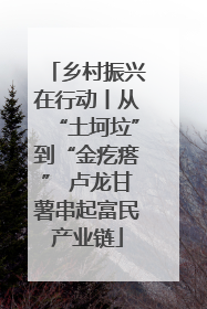 乡村振兴在行动丨从“土坷垃”到“金疙瘩” 卢龙甘薯串起富民产业链