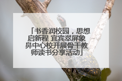 书香润校园，思想启新程 宜宾翠屏象鼻中心校开展骨干教师读书分享活动