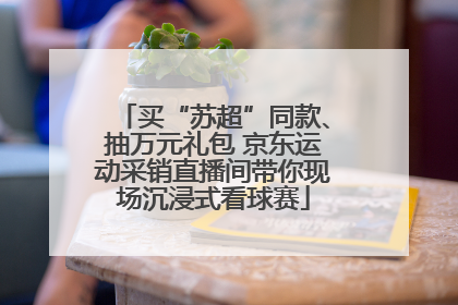 买“苏超”同款、抽万元礼包 京东运动采销直播间带你现场沉浸式看球赛