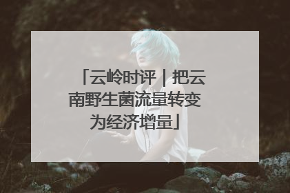 云岭时评｜把云南野生菌流量转变为经济增量