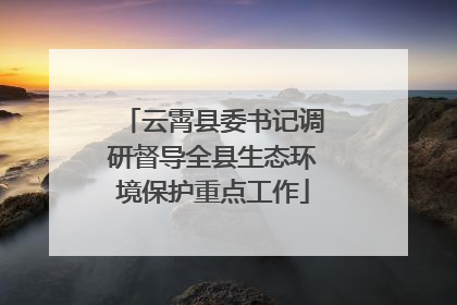 云霄县委书记调研督导全县生态环境保护重点工作