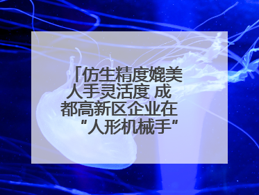 仿生精度媲美人手灵活度 成都高新区企业在“人形机械手”赛道崭露头角