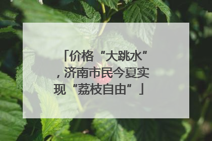 价格“大跳水”，济南市民今夏实现“荔枝自由”