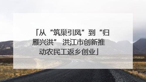 从“筑巢引凤”到“归雁兴洪” 洪江市创新推动农民工返乡创业