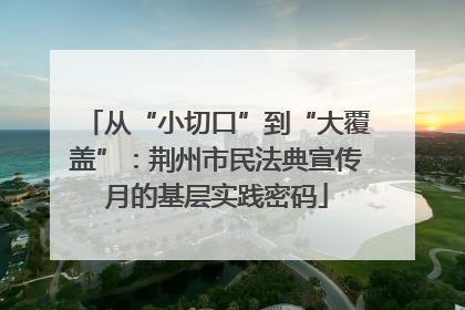 从“小切口”到“大覆盖”：荆州市民法典宣传月的基层实践密码