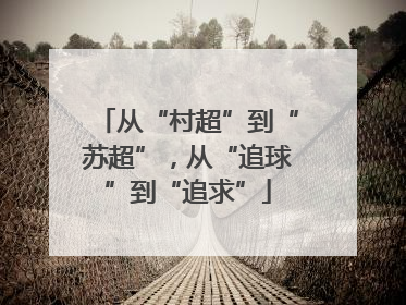 从“村超”到“苏超”，从“追球”到“追求”