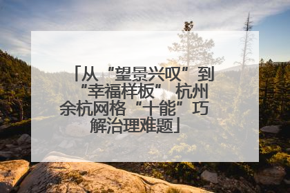 从“望景兴叹”到“幸福样板” 杭州余杭网格“十能”巧解治理难题