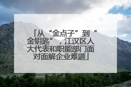 从“金点子”到“金钥匙”，江汉区人大代表和职能部门面对面解企业难题