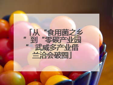 从“食用菌之乡”到“零碳产业园” 武威多产业借兰洽会破圈