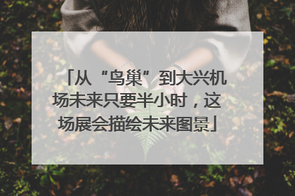 从“鸟巢”到大兴机场未来只要半小时，这场展会描绘未来图景