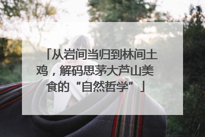 从岩间当归到林间土鸡，解码思茅大芦山美食的“自然哲学”