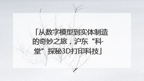 从数字模型到实体制造的奇妙之旅，沪东“科·堂”探秘3D打印科技