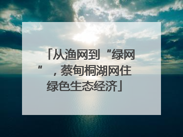 从渔网到“绿网”，蔡甸桐湖网住绿色生态经济