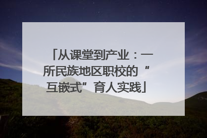 从课堂到产业：一所民族地区职校的“互嵌式”育人实践