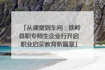 从课堂到车间：铁岭县职专师生企业行开启职业启蒙教育新篇章