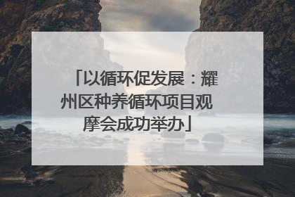 以循环促发展：耀州区种养循环项目观摩会成功举办