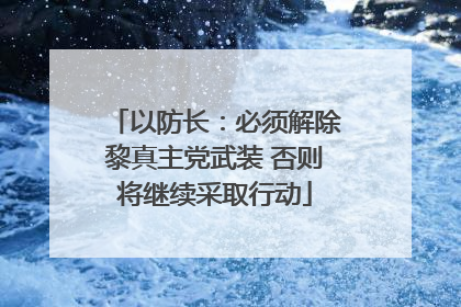 以防长：必须解除黎真主党武装 否则将继续采取行动