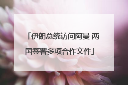伊朗总统访问阿曼 两国签署多项合作文件